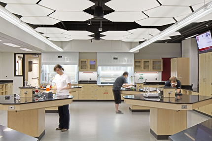 Life science labs in the renovated Brace Laboratory are designed to allow maximum student collaboration.