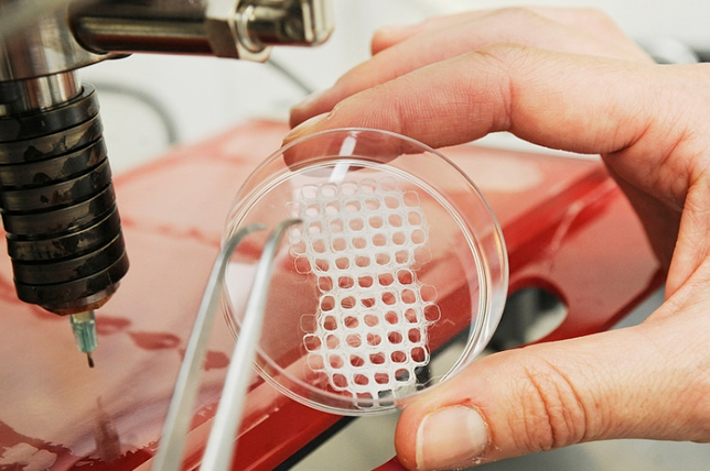 Biofabrication is a process by which scientists generate human tissue using 3D printers. Image courtesy of Queensland University of Technology Institute of Health and Biomedical Innovation.