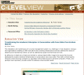 C-Level View