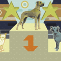 Best of Breed