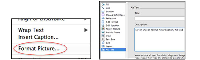 Right-click Format Picture > Alt text option, Word 2011 (Mac)