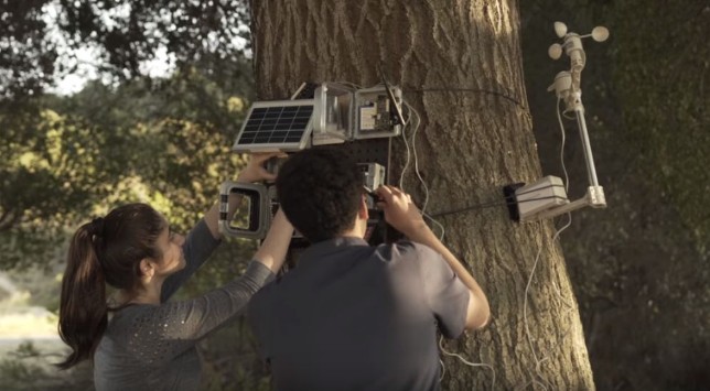 A “smart” wildfire sensor developed by two high school students in Cupertino, CA