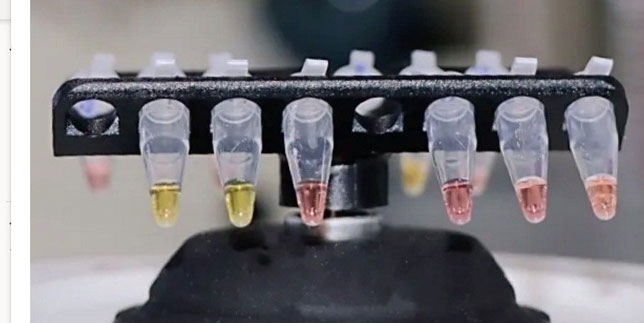 coronavirus test