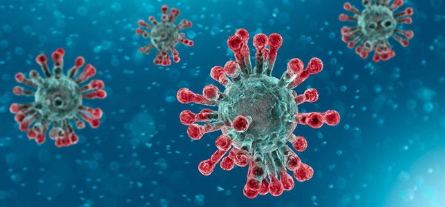 coronavirus