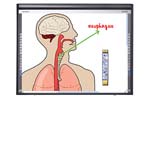 Hitachi 77" StarBoard FXDUO Interactive Whiteboard - Mac Version