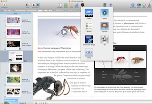 iBooks Author requires Mac OS X 10.7.2 or newer.