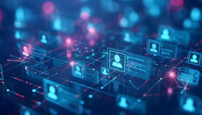 Digital Network of User Profiles and Data Connections