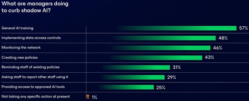 Shadow AI Response