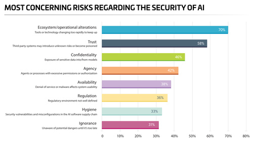 Leading Risks to AI Security