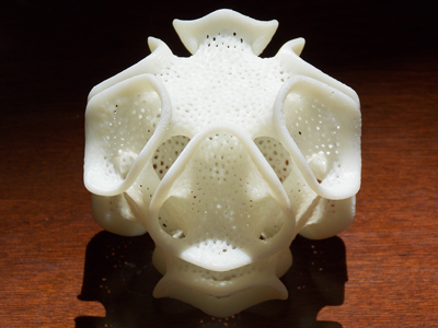 Print Your Own 3D Learning Objects