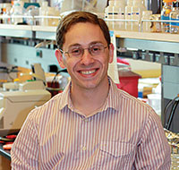 Howard Salis