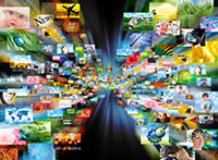 video management